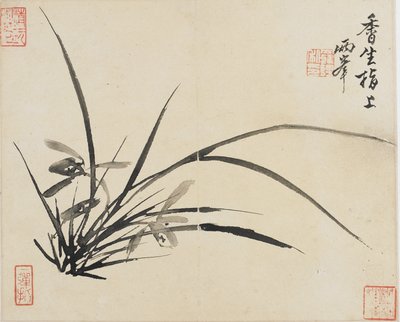 Landschaften, Blumen und Vögel: Orchidee, Qing-Dynastie, 1780 von Luo Ping